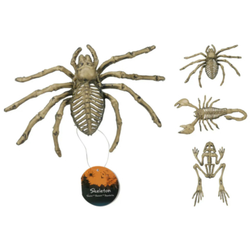 Halloween - állatcsontváz, 3 féle
