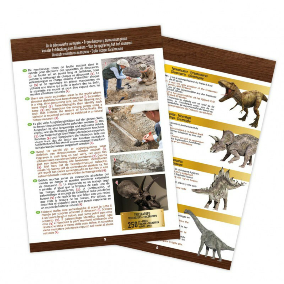 T-Rex koponya régészeti játék BUKI France